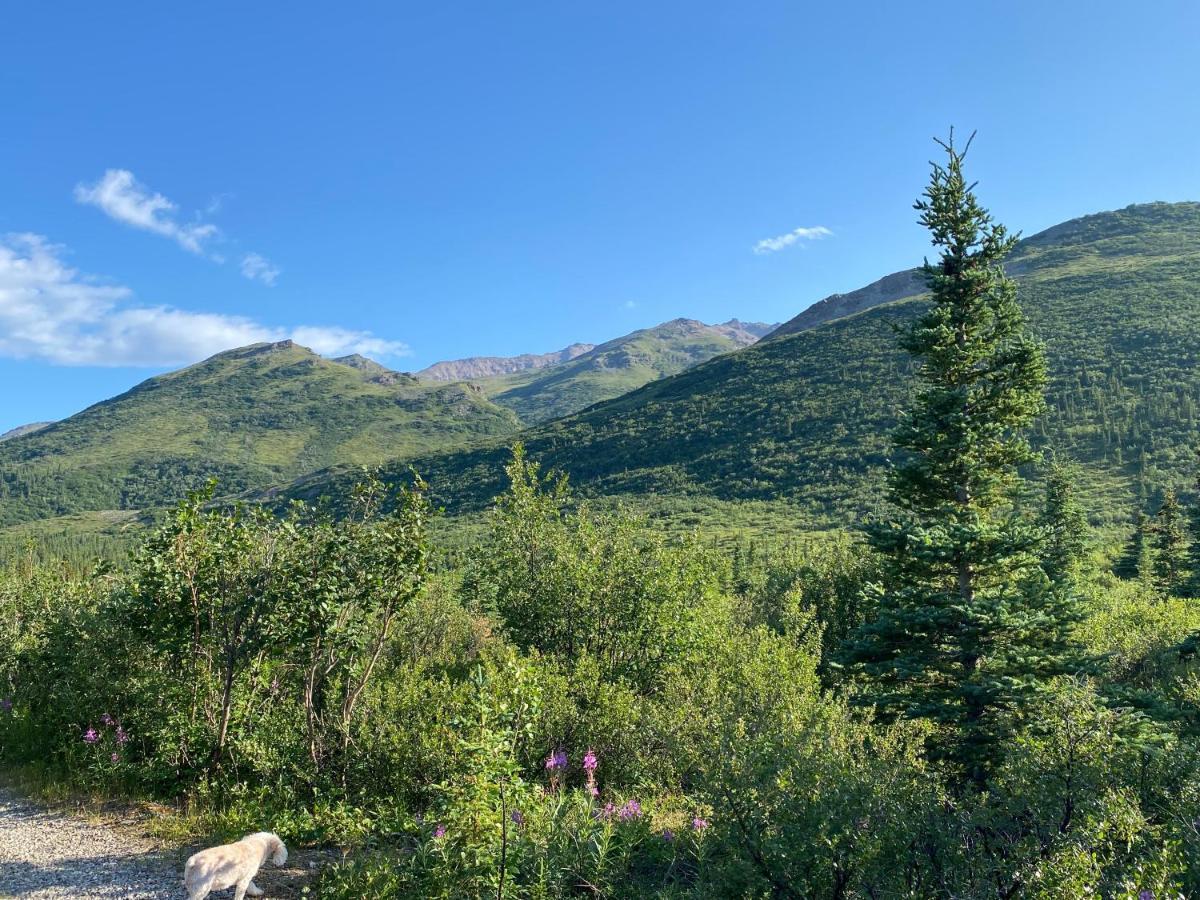 Denali Rv Park & Motel *