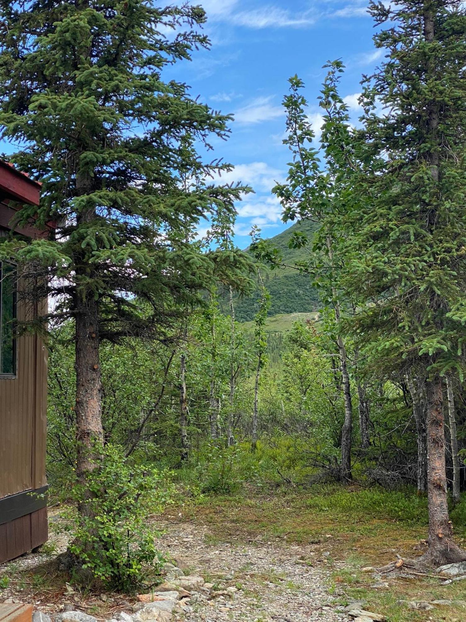 Motel Denali Rv Park &